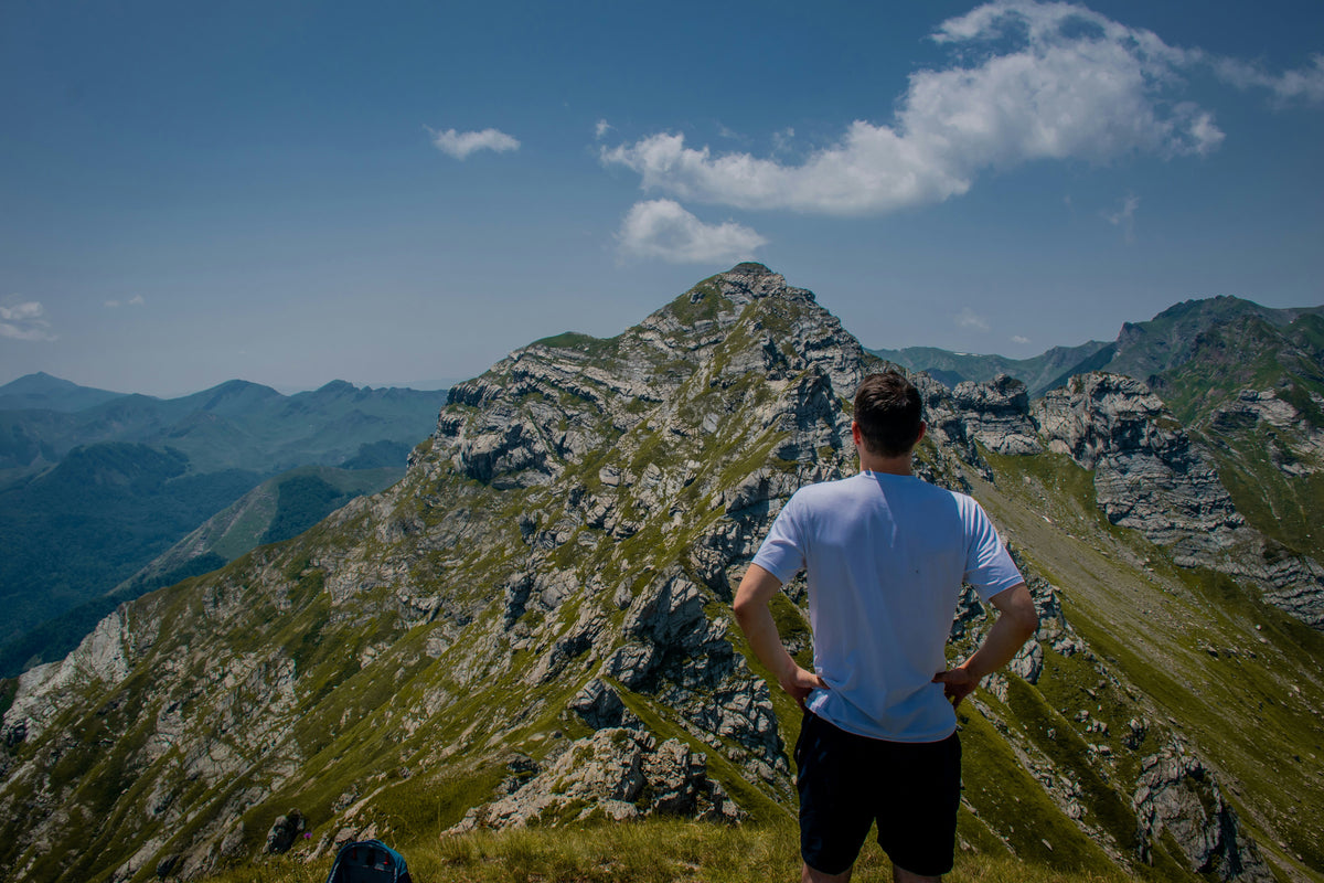 Shilajit: Il segreto della natura ricco di minerali per l'energia e la vitalità