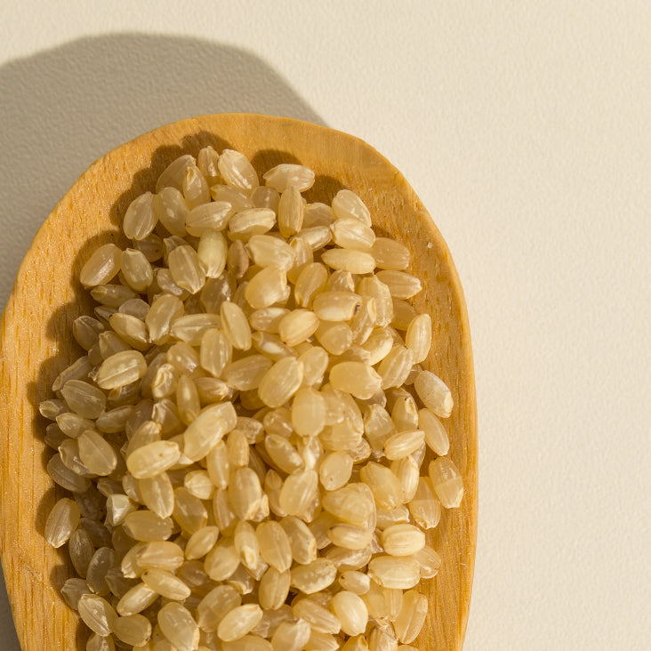 Brown rice protein
