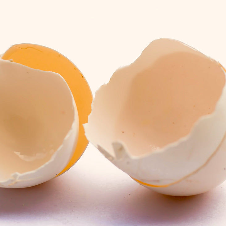 Membrane de coquille d’œuf