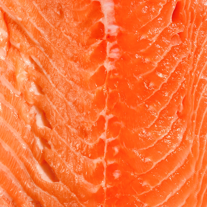 Fischöl reich an DHA & EPA