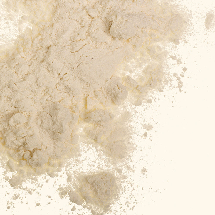 Acide folique (B9)