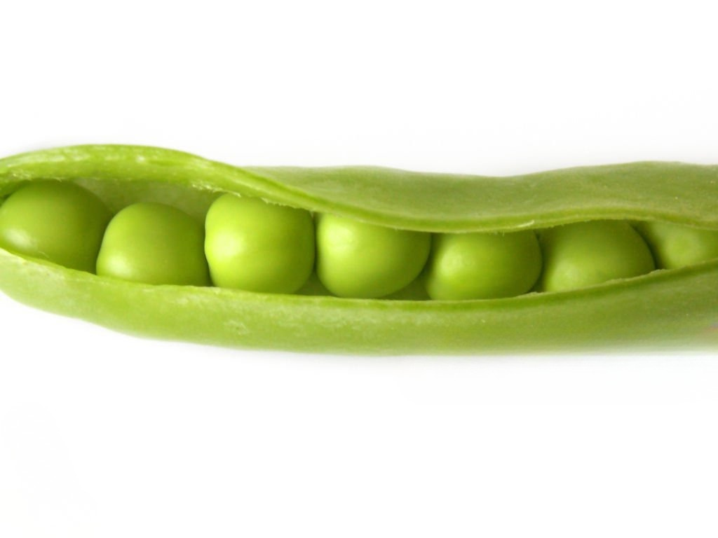 Erbsenprotein