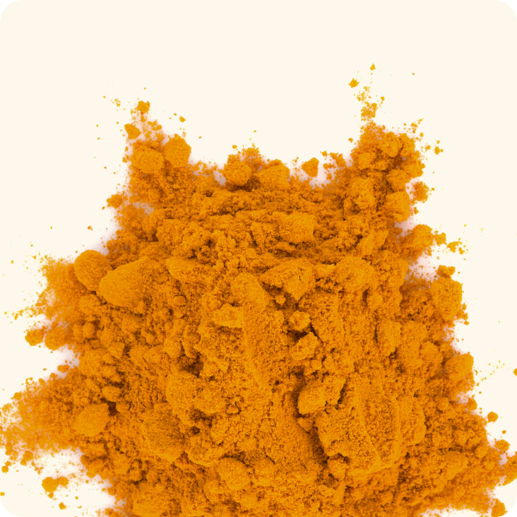 Coenzyme Q10