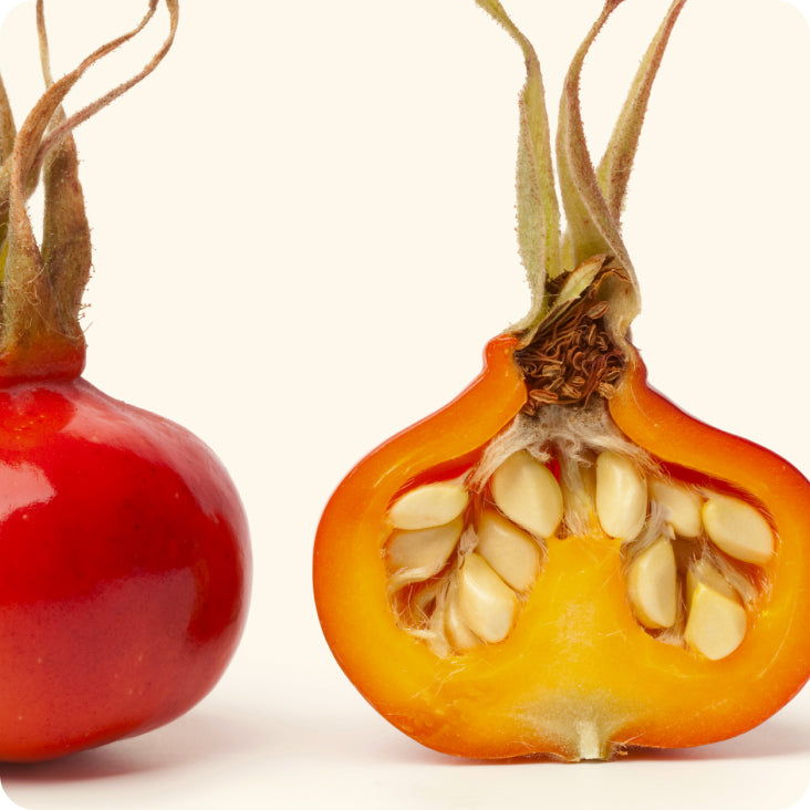 Cynorrhodon (vitamine C)