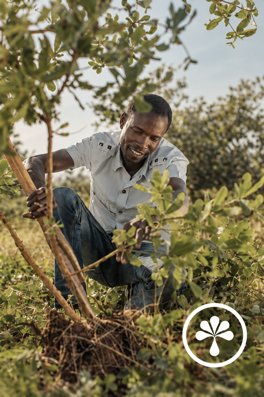 Aavalabs impact initiative